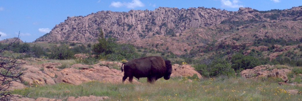 Doris Benbrook banner