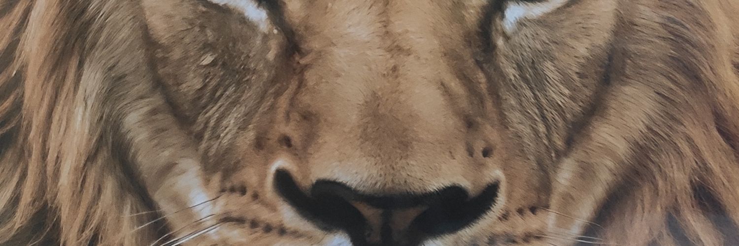 ANDRADE19688's profile banner image