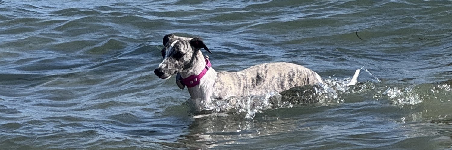 ChadPFC ⚽️ banner