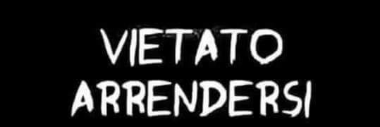 Angela Allegria banner