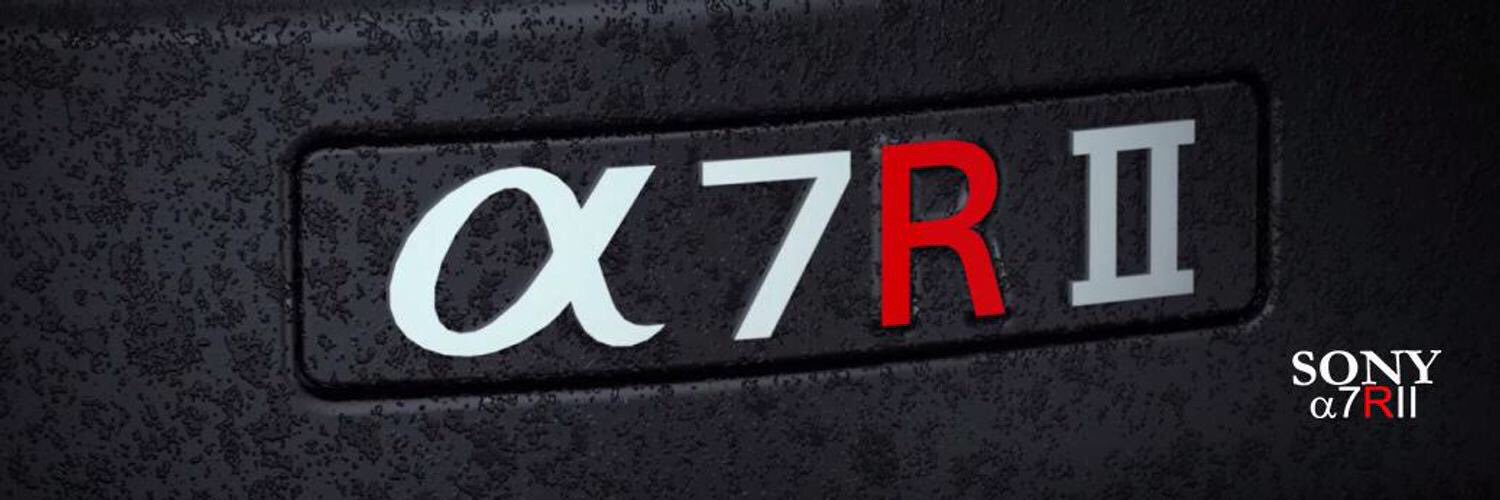 Teddy_Brain0371's profile banner image
