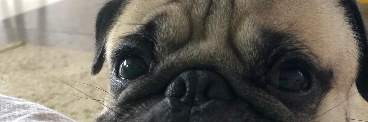 aryannerodrigue's profile banner image