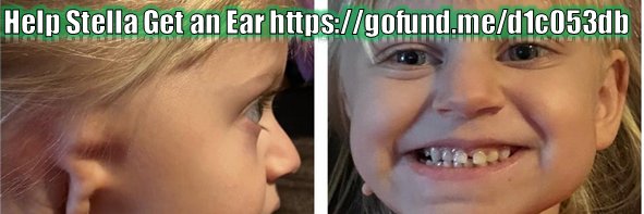 Punts_Gnomes's profile banner image