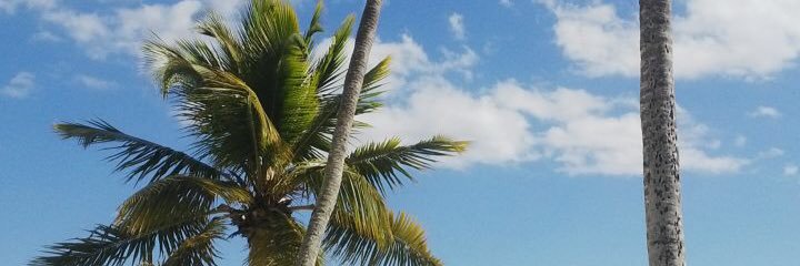 emmacgonzalez's profile banner image