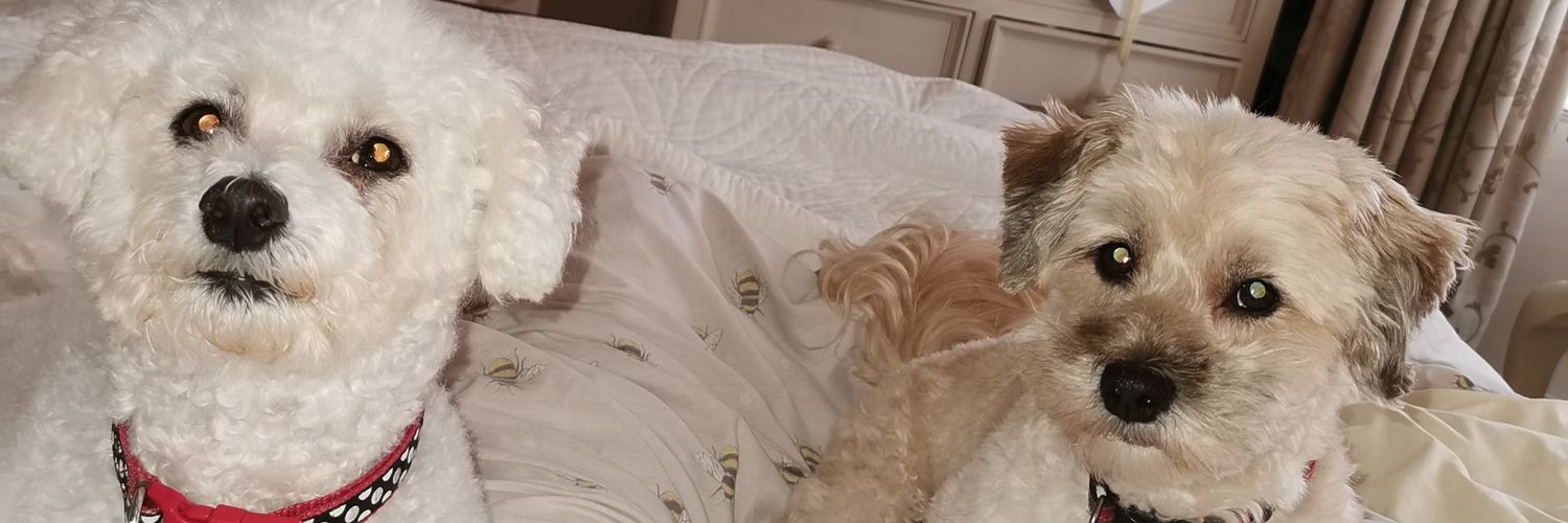 Chloé Rowlands banner