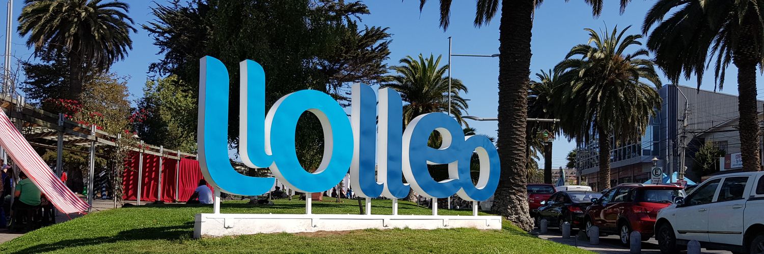 Dellolleo's profile banner image