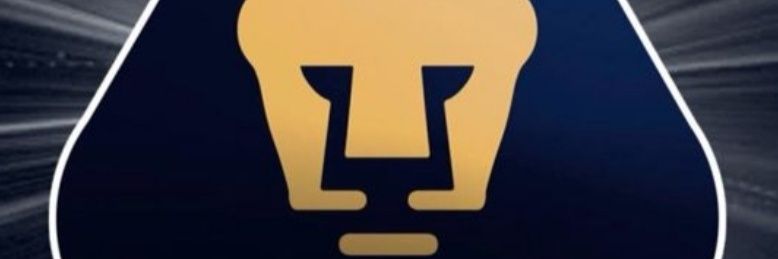 ?? banner
