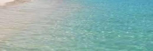 artedalia's profile banner image