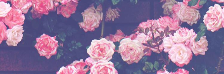 delmizzy's profile banner image