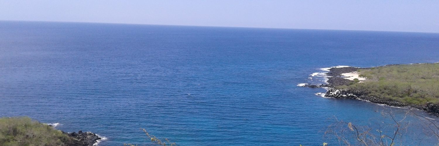 Stefanycamp's profile banner image