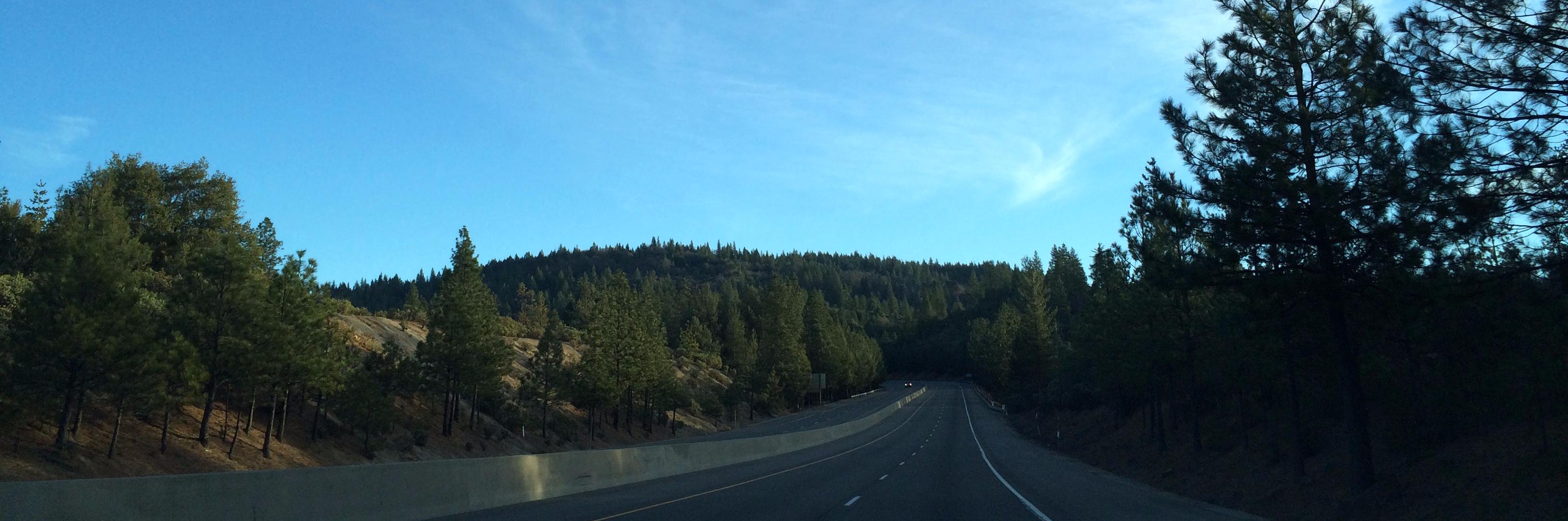 Michael Petrov banner