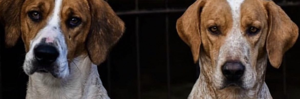 lexinotes's profile banner image