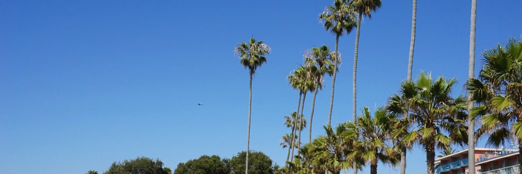 TomPField's profile banner image