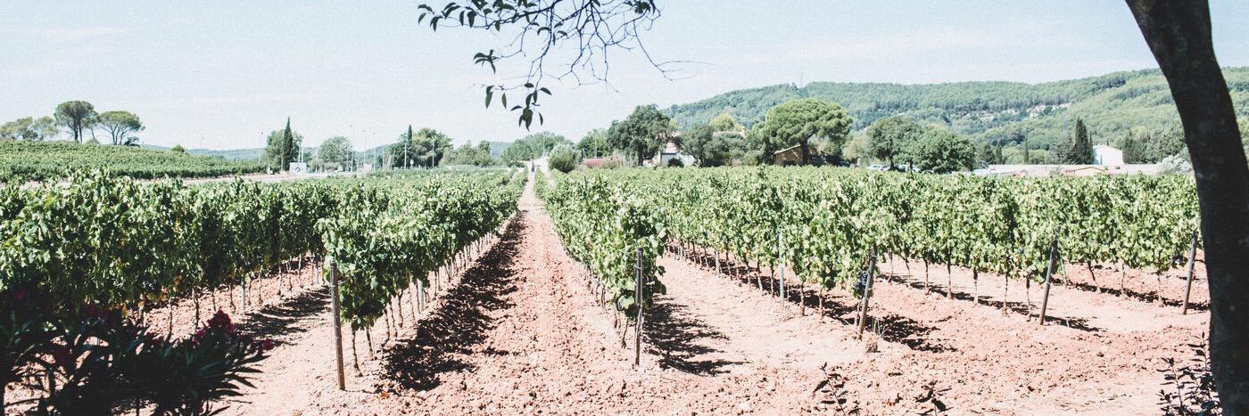 Milly Kenny-Ryder banner