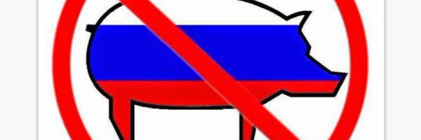 carlabrandolini Profile Banner