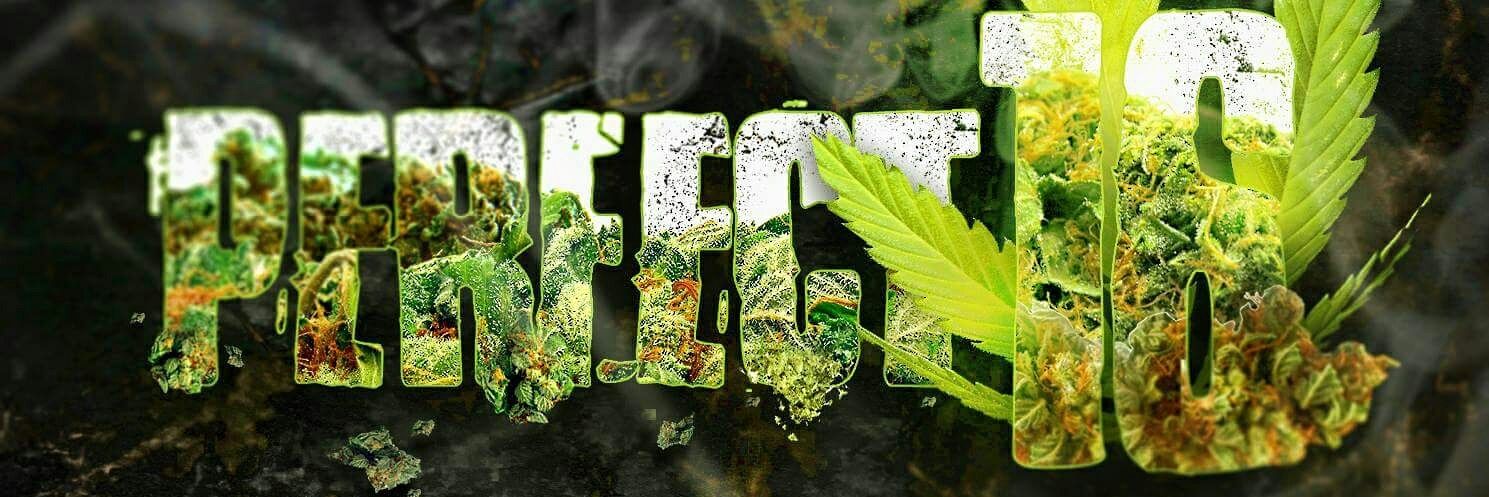 ThowedOffEnt's profile banner image