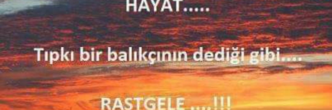 gencpoyrazca's profile banner image