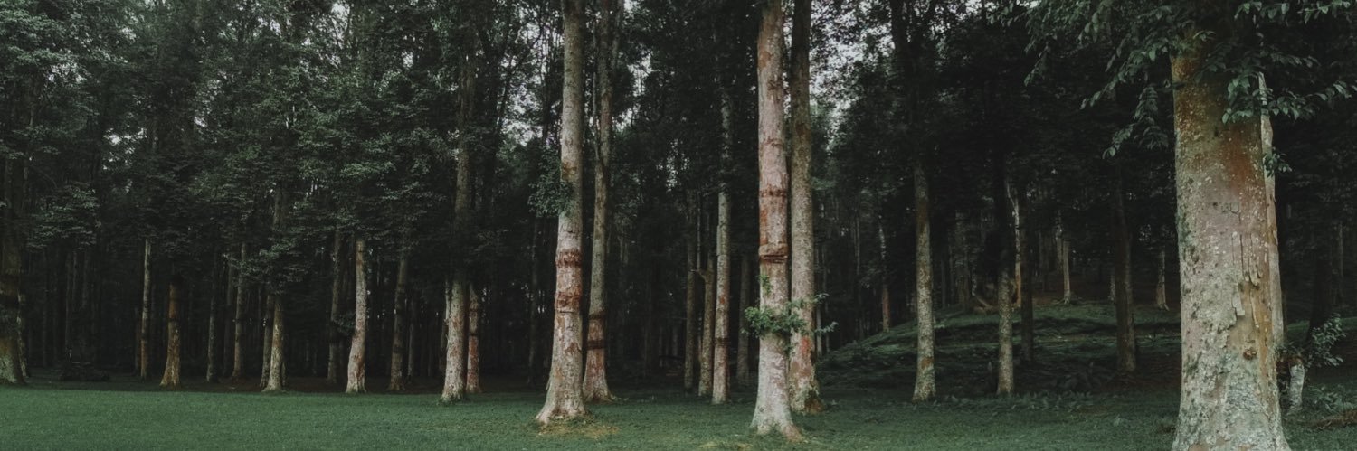dederoung's profile banner image