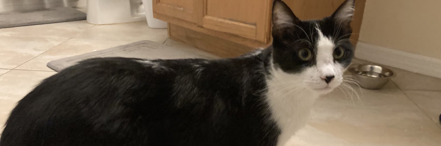 kingLiot's profile banner image