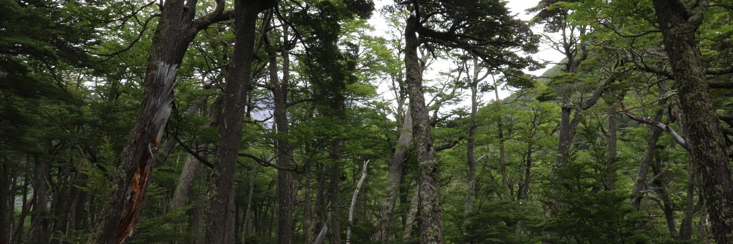 TerramChile's profile banner image