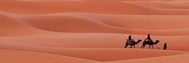 nedaaabdoo's profile banner image