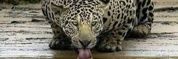 marcinho74's profile banner image