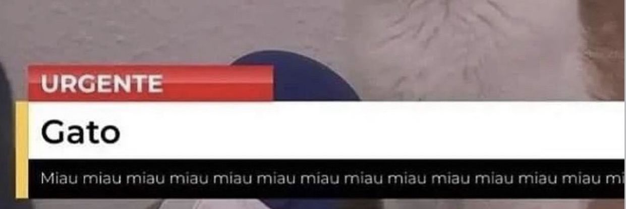 Vítor Trindade banner