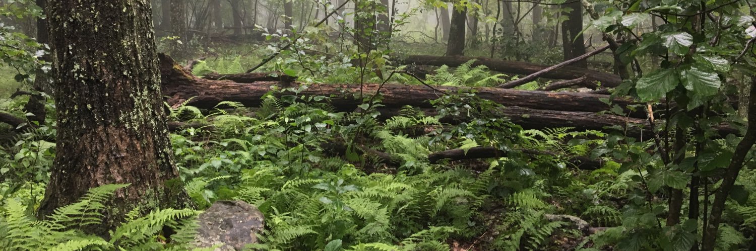 Back And Gone Again banner