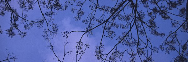 tobeallset Profile Banner