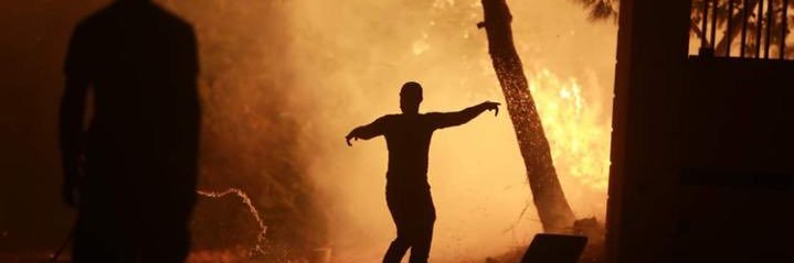 bobzii's profile banner image
