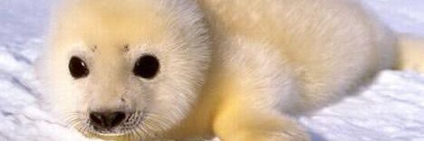 hannahrenae26's profile banner image