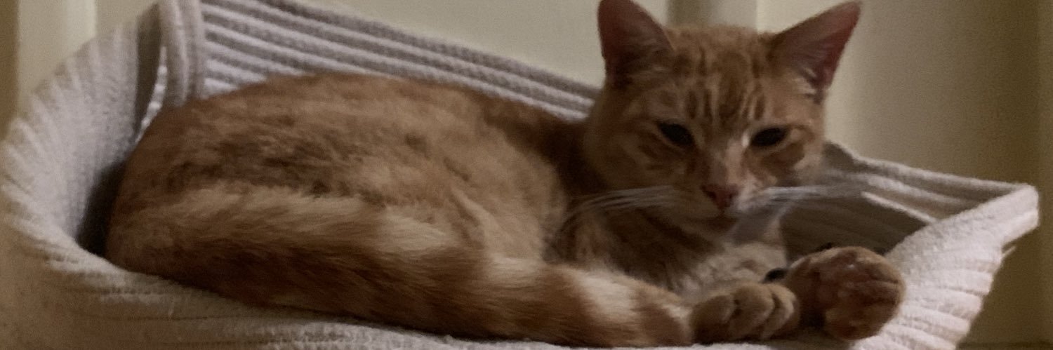 Dean N. Johnson banner