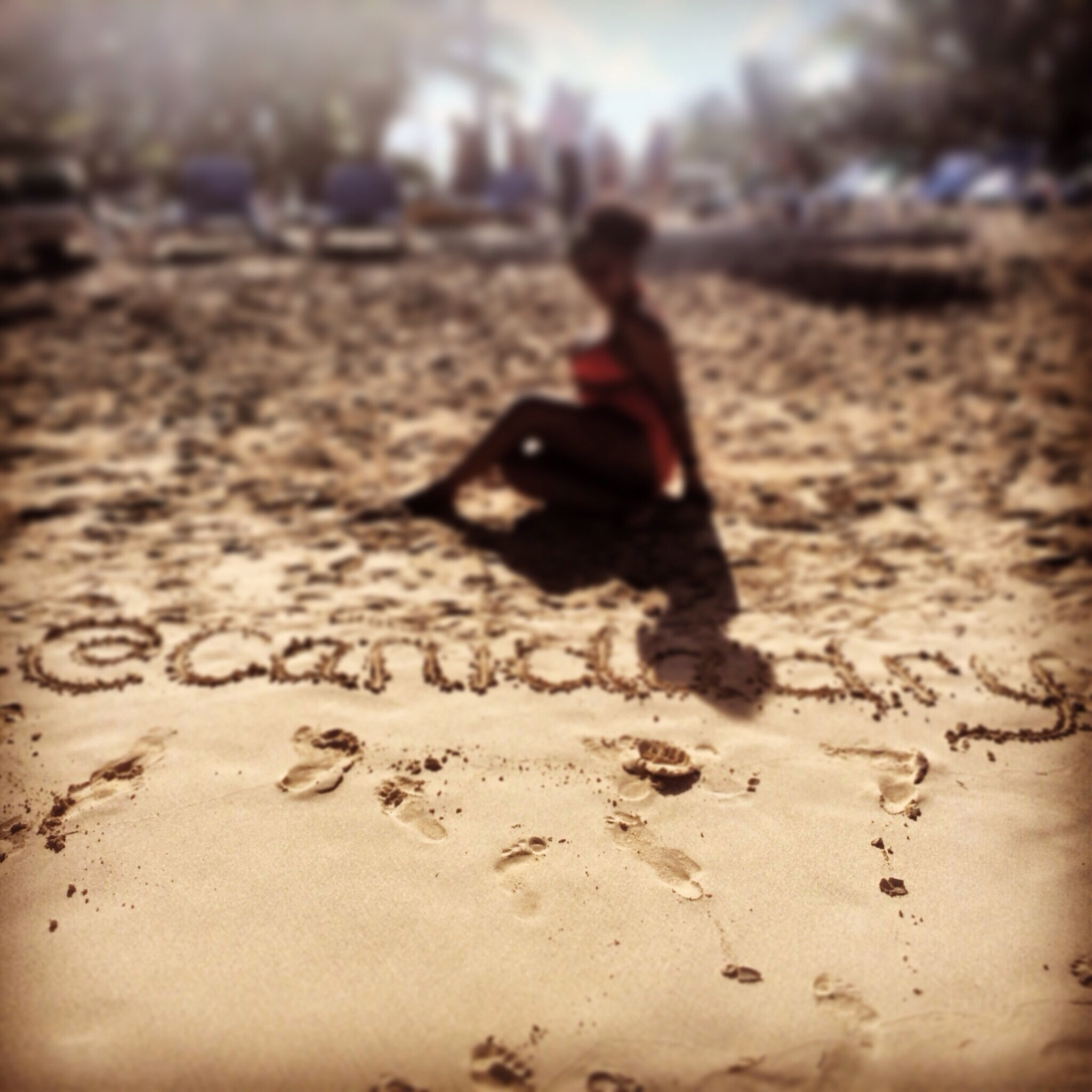 CanidaDry's profile banner image