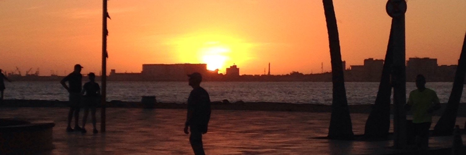 marioslevy's profile banner image