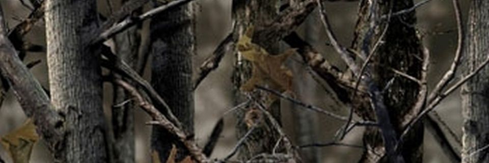keagleator's profile banner image