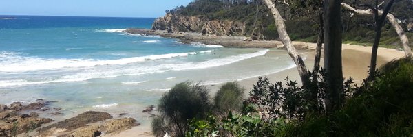 brianla1 Profile Banner