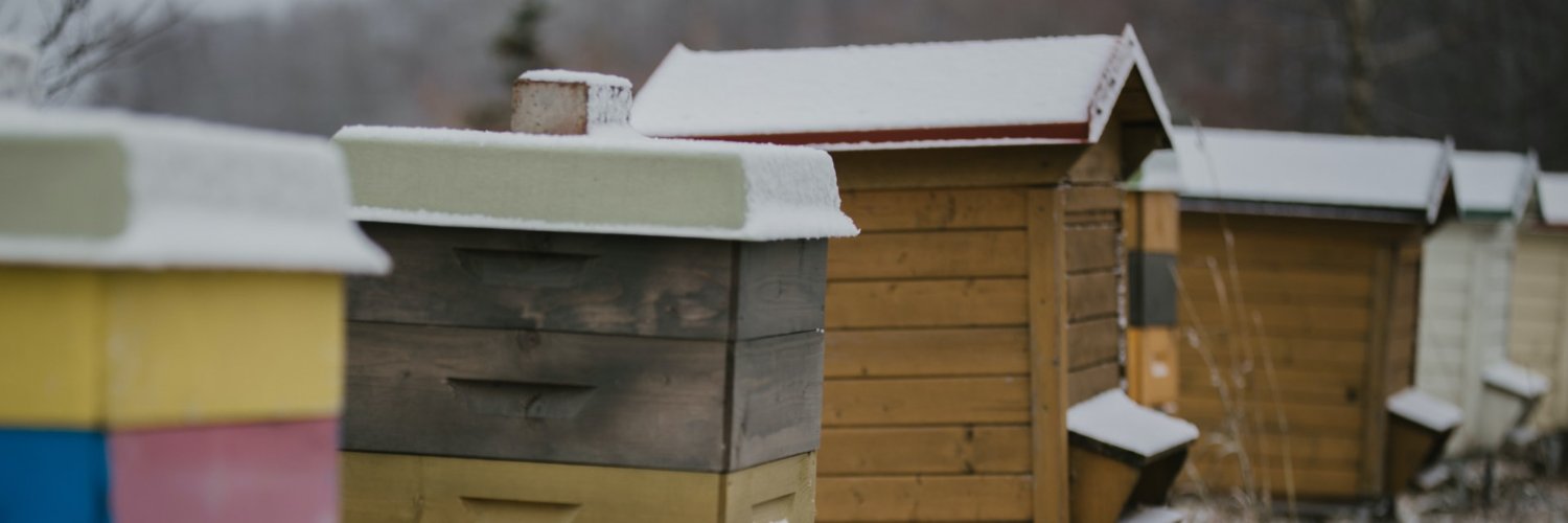 Ru Wikmann 🐝 banner