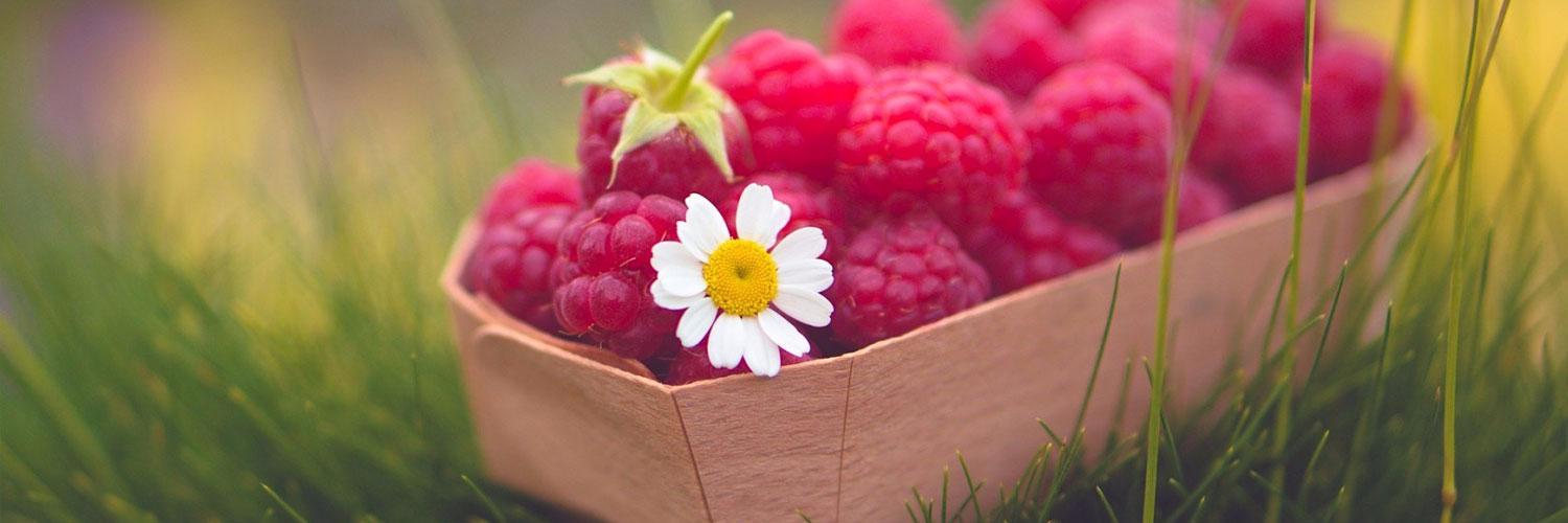 Anne Lataillade banner