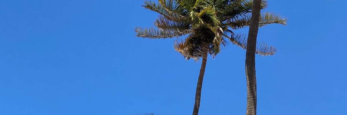 anmne's profile banner image