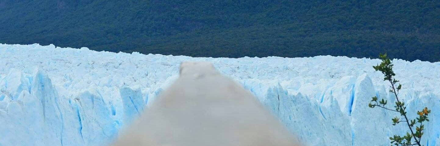 Lauryys's profile banner image