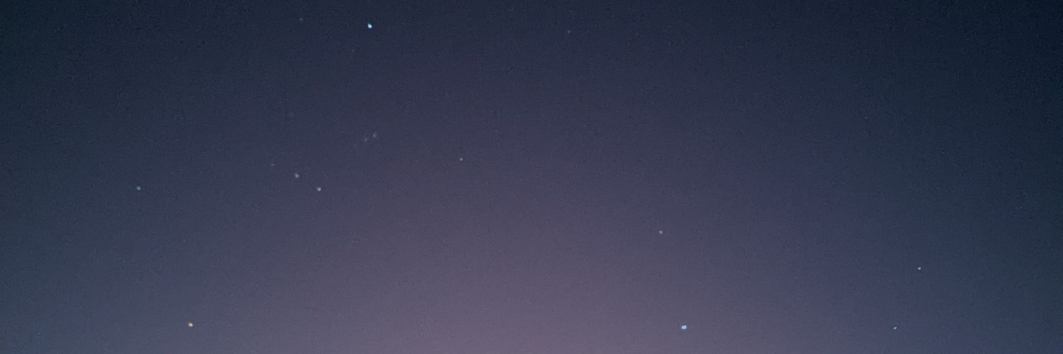 4lifsclover's profile banner image