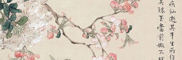 FdaAndrea's profile banner image