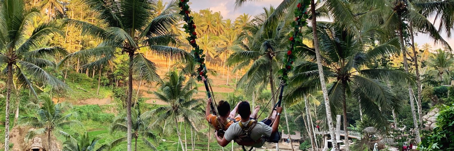 aaanele's profile banner image
