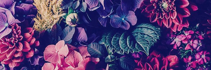 heatherclaw's profile banner image