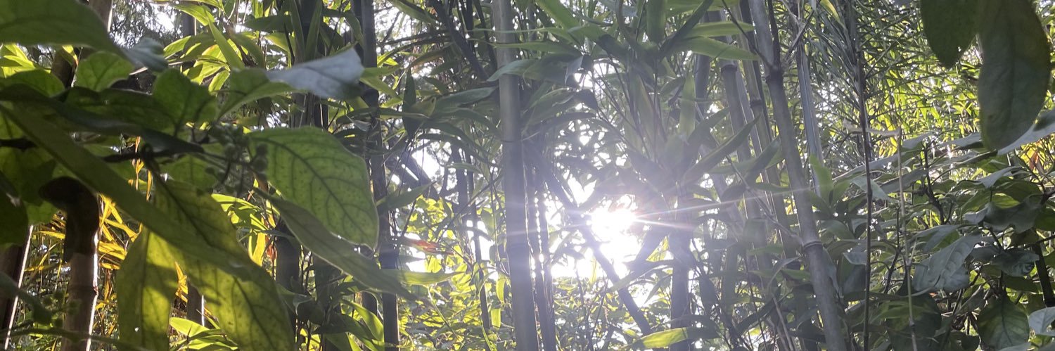 AldebaranGT's profile banner image