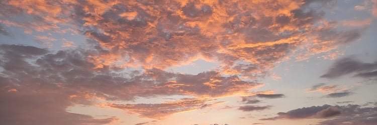 endoceka's profile banner image