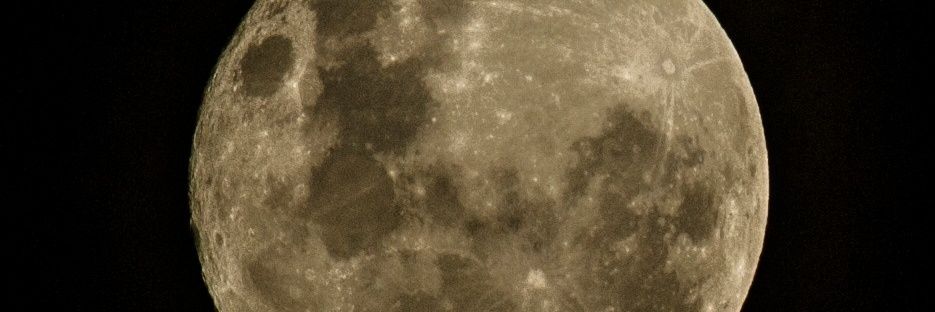 marnizbox's profile banner image