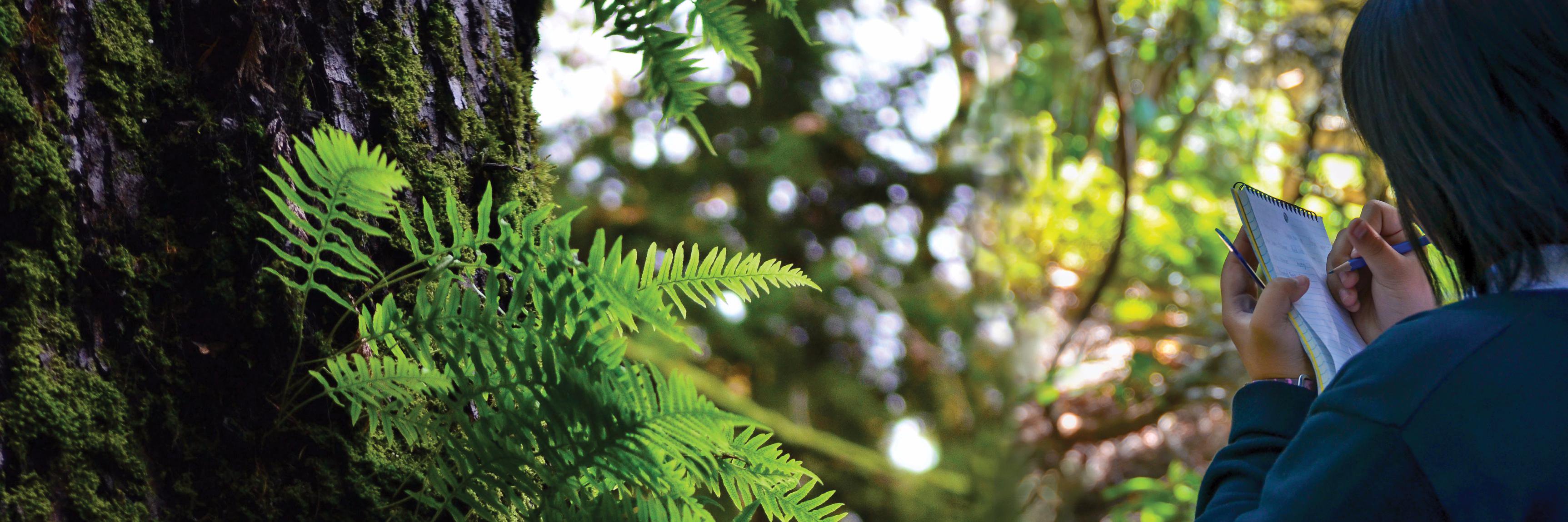 Meadowridge's profile banner image