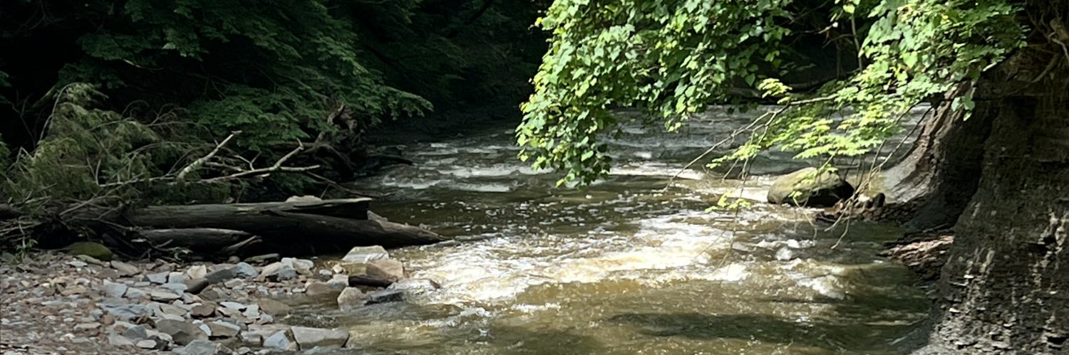 Justin Studd⚾ banner