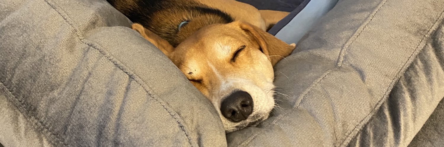 Brian Gardner banner